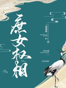 庶女权相 cover