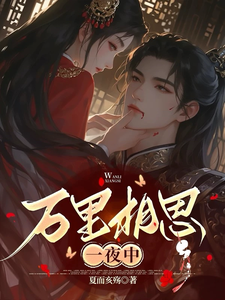 万里相思一夜中 cover