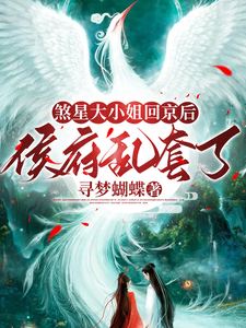 煞星大小姐回京后，侯府乱套了 cover