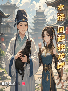 水浒风起独龙岗 cover