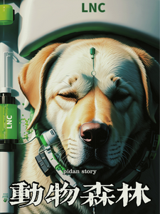 动物森林 cover