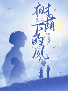 树荫下的风 cover