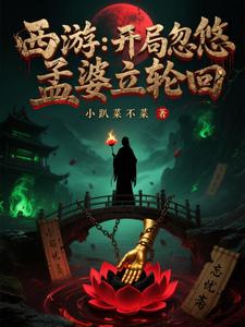 西游：开局忽悠孟婆立轮回 cover