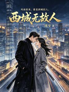 西城无故人 cover