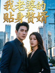 我老婆的贴身赘婿 cover