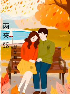 两夹弦 cover