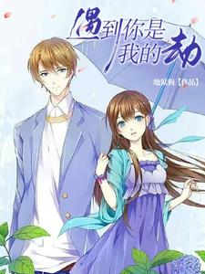 遇到你是我的劫 cover