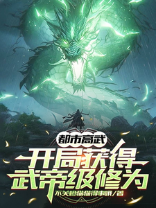 都市高武：开局获得武帝级修为 cover