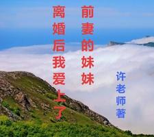 离婚后，我爱上了前妻的妹妹 cover