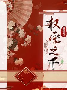 权宠之下 cover