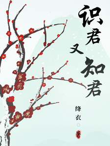 识君又知君 cover