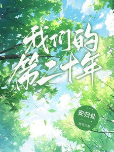 我们的第二十年 cover