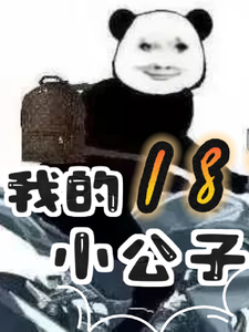 我的18岁小公子 cover