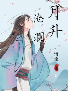 月升沧澜 cover