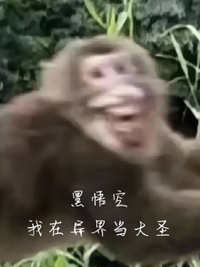 黑悟空我在异界当大圣 cover