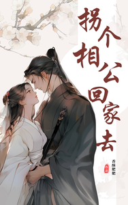 拐个相公回家去 cover