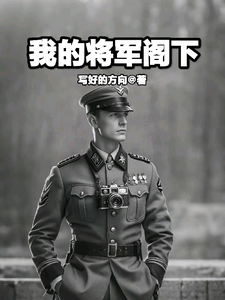 我的将军阁下 cover
