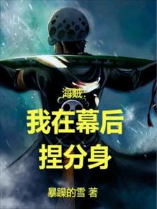 海贼:我在幕后捏分身 cover