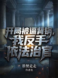 开局被逼背锅,我反手依法治官 cover