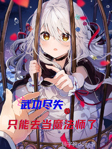武功尽失,只能去当魔法师了 cover