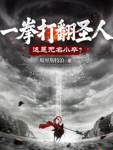 一拳打翻圣人，这是无名小卒？ cover
