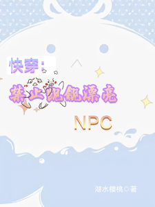 快穿：禁止觊觎漂亮NPC cover