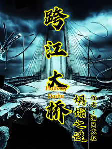 跨江大桥坍塌之谜 cover