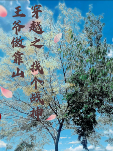 穿越之找个战神王爷做靠山 cover