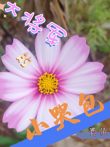 大将军的小哭包 cover