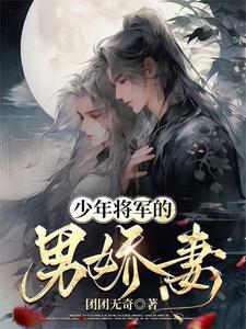 少年将军的男娇妻 cover