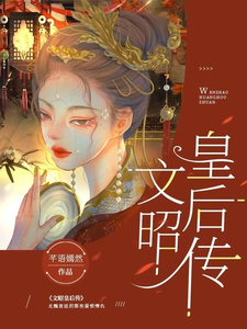文昭皇后传 cover