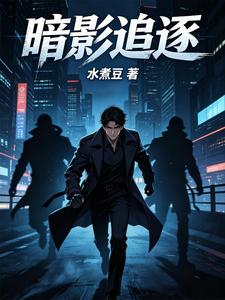 暗影追逐 cover