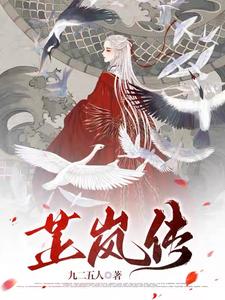 芷岚传 cover