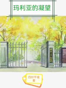 玛利亚的凝望 cover