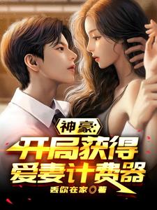 神豪:开局获得爱妻计费器 cover