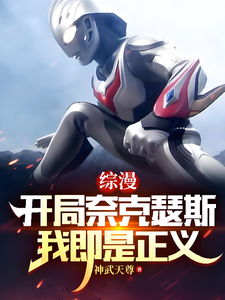 综漫：开局奈克瑟斯，我即是正义 cover
