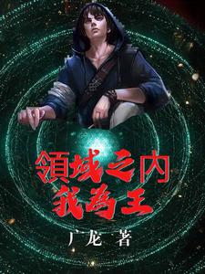 领域之内我为王 cover