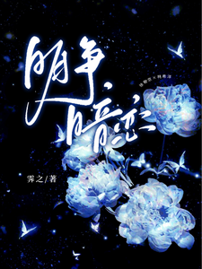 明争暗恋 cover