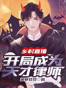 乡村直播:开局成为天才律师 cover