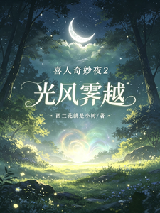 喜人奇妙夜2:光风霁越 cover