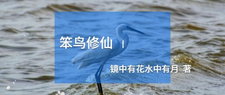 笨鸟修仙 cover