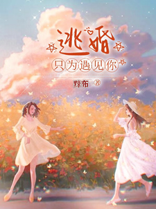 逃婚，只为遇见你 cover