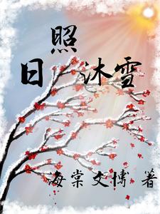 日照沐雪 cover