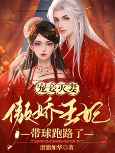 宠妾灭妻，傲娇王妃带球跑路了 cover