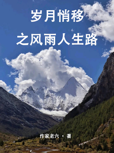 岁月悄移之风雨人生路 cover