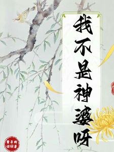 我不是神婆呀 cover
