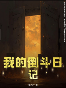 我的倒斗日记 cover