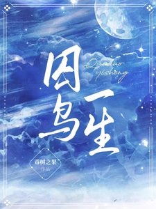 囚鸟一生 cover