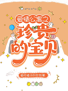 爱情公寓之珍贵的宝贝 cover