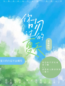你吻过的夏天 cover